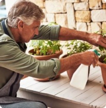 Deutschland nach der Legalisierung – Stabilität oder Stillstand? - 