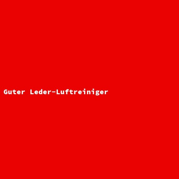 Guter Leder-Luftreiniger