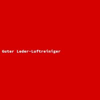 Guter Leder-Luftreiniger