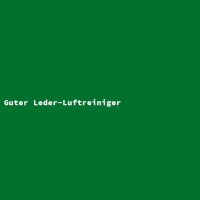 Guter Leder-Luftreiniger